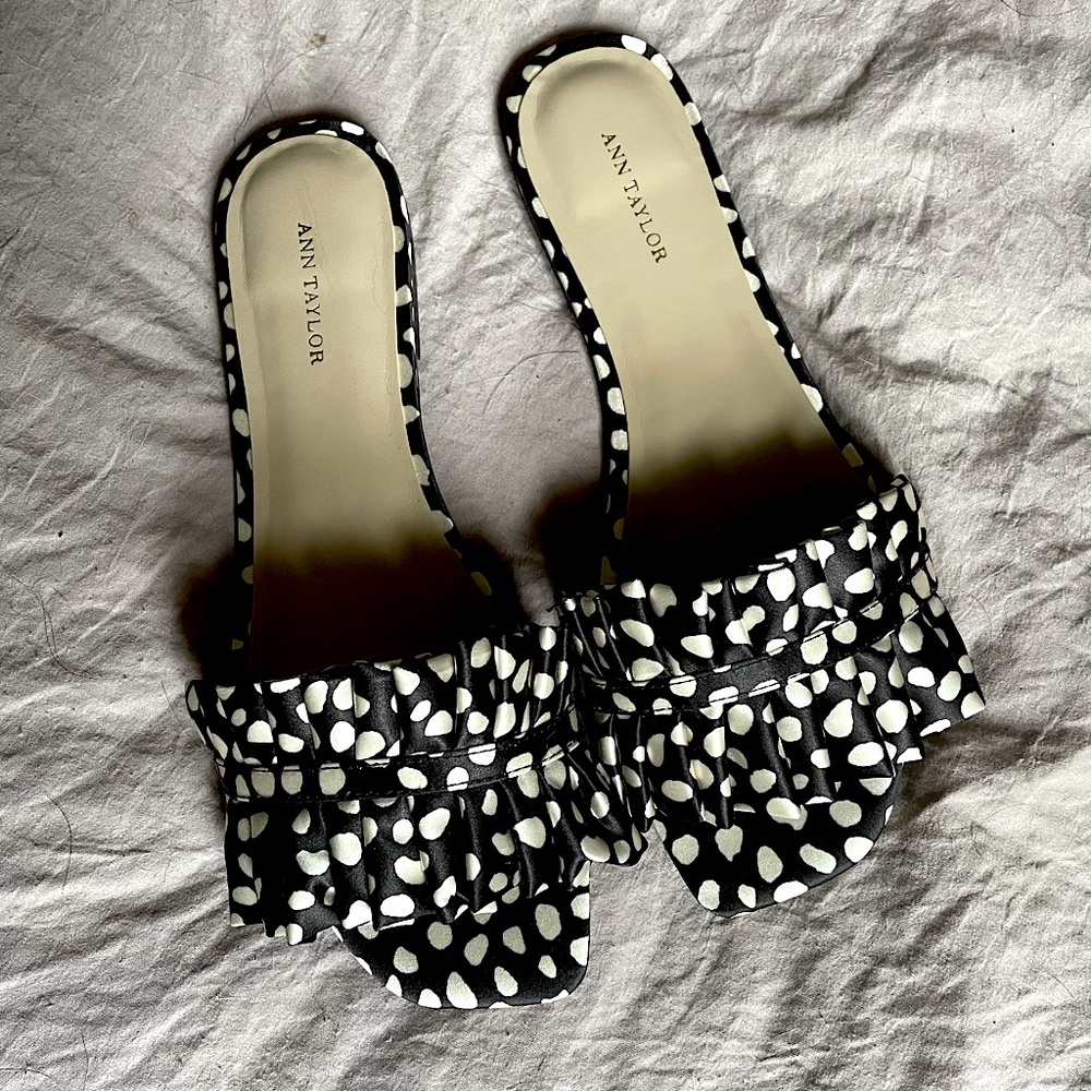 Never worn Ann Taylor sandals.